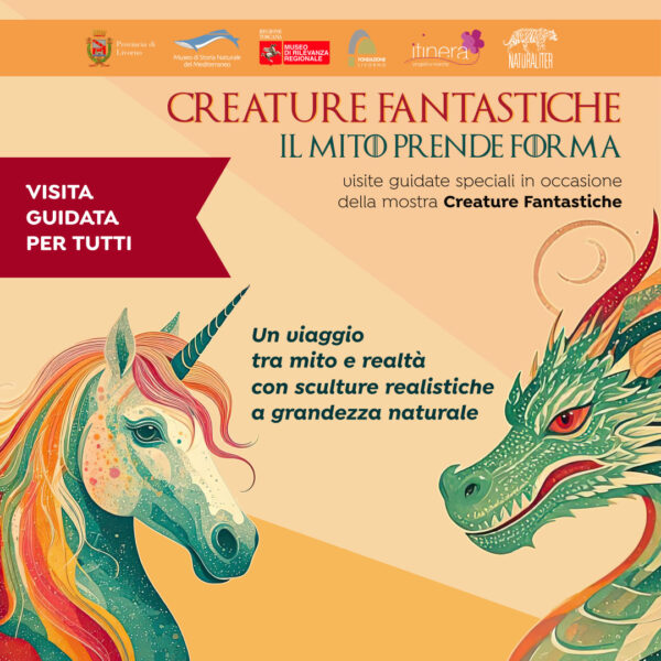 Immagine di copertina: Creature Fantastiche, visite per tutti